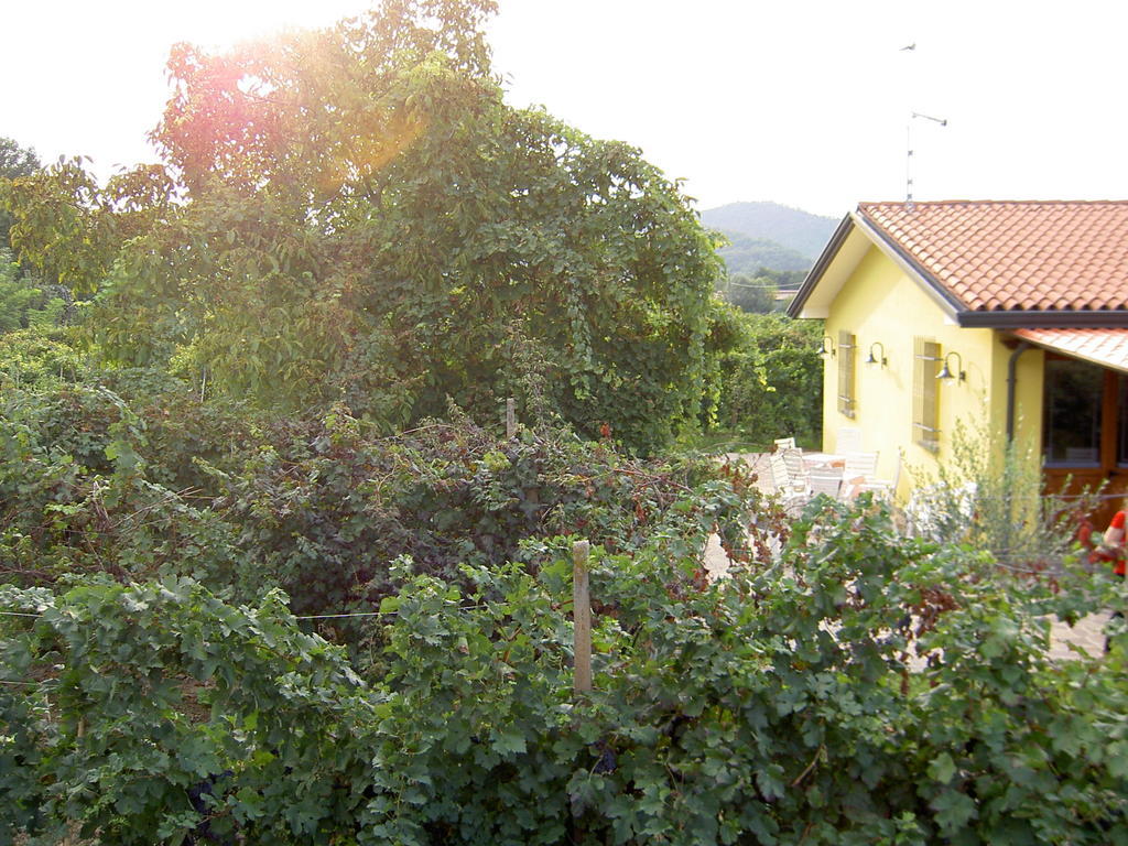 Agriturismo Monteortone Abano Terme Extérieur photo